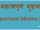 http://www.hindisarkariresult.com/important-idioms-hindi/