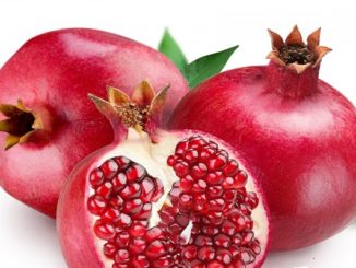 http://www.hindisarkariresult.com/anar-pomegranate-hindi/