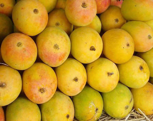 http://www.hindisarkariresult.com/aam-mango-benefits-hindi/