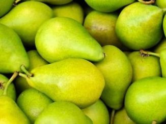 http://www.hindisarkariresult.com/nashpati-pears-in-hindi/