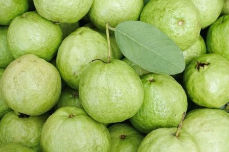 http://www.hindisarkariresult.com/amrood-guava-in-hindi/