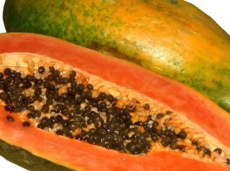 http://www.hindisarkariresult.com/papita-papaya-in-hindi