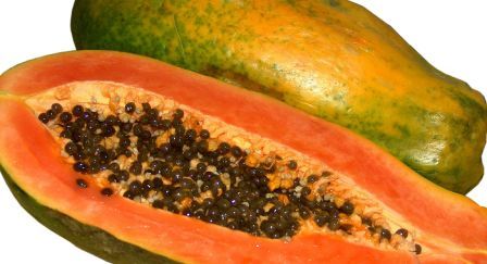 http://www.hindisarkariresult.com/papita-papaya-in-hindi