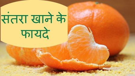 http://www.hindisarkariresult.com/santara-orange-in-hindi/