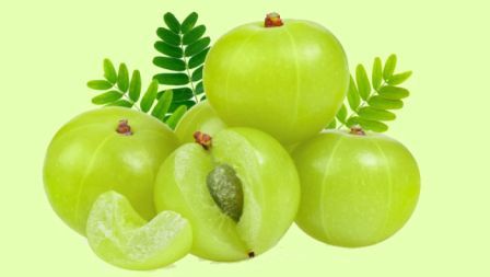 http://www.hindisarkariresult.com/amla-fruit-in-hindi/
