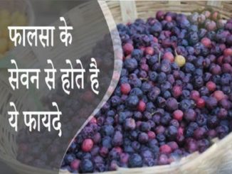 http://www.hindisarkariresult.com/falsa-fruit-in-hindi/