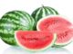 http://www.hindisarkariresult.com/tarbooj-watermelon-in-hindi/
