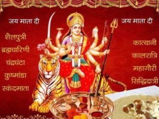 http://www.hindisarkariresult.com/navratri-ki-9-deviya/