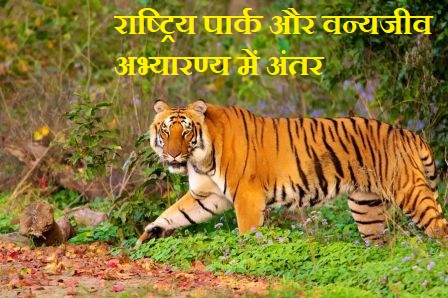 http://www.hindisarkariresult.com/national-parks-wildlife-sanctuaries/