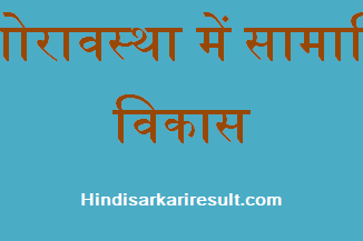 http://www.hindisarkariresult.com/social-development-in-adolescence/