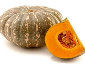 http://www.hindisarkariresult.com/kaddu-pumpkin-in-hindi/