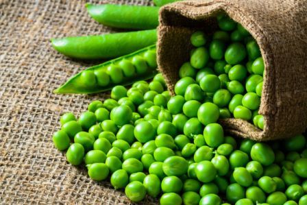 Matar Pea in Hindi (मटर: जानकारी, खाने के फायदे और नुकसान) -