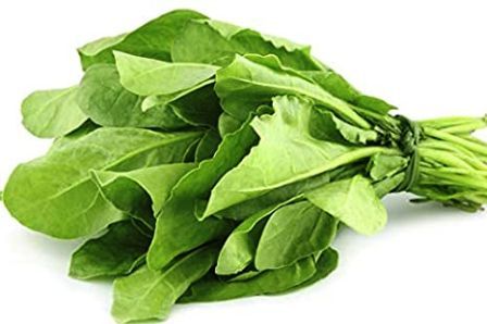 http://www.hindisarkariresult.com/palak-spinach-in-hindi