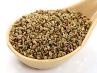 http://www.hindisarkariresult.com/ajwain-carom-seeds-hindi/