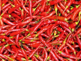 http://www.hindisarkariresult.com/red-chilli-lal-mirch
