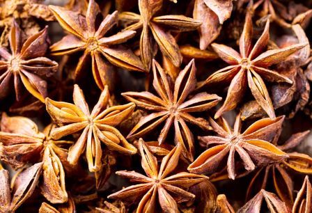http://www.hindisarkariresult.com/star-anise-in-hindi