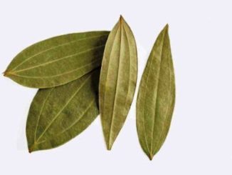 http://www.hindisarkariresult.com/bay-leaf-tejpatta-hindi