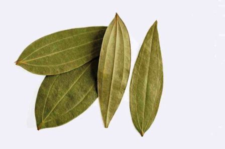 http://www.hindisarkariresult.com/bay-leaf-tejpatta-hindi