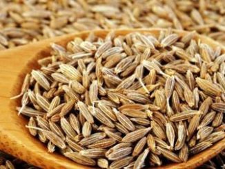 http://www.hindisarkariresult.com/cumin-jeera-in-hindi