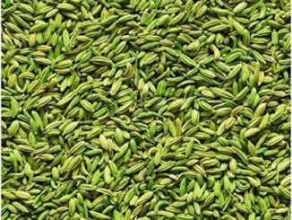 http://www.hindisarkariresult.com/fennel-saunf-in-hindi