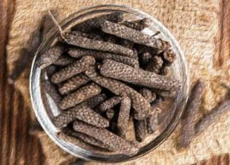 http://www.hindisarkariresult.com/long-pepper-pippali-hindi